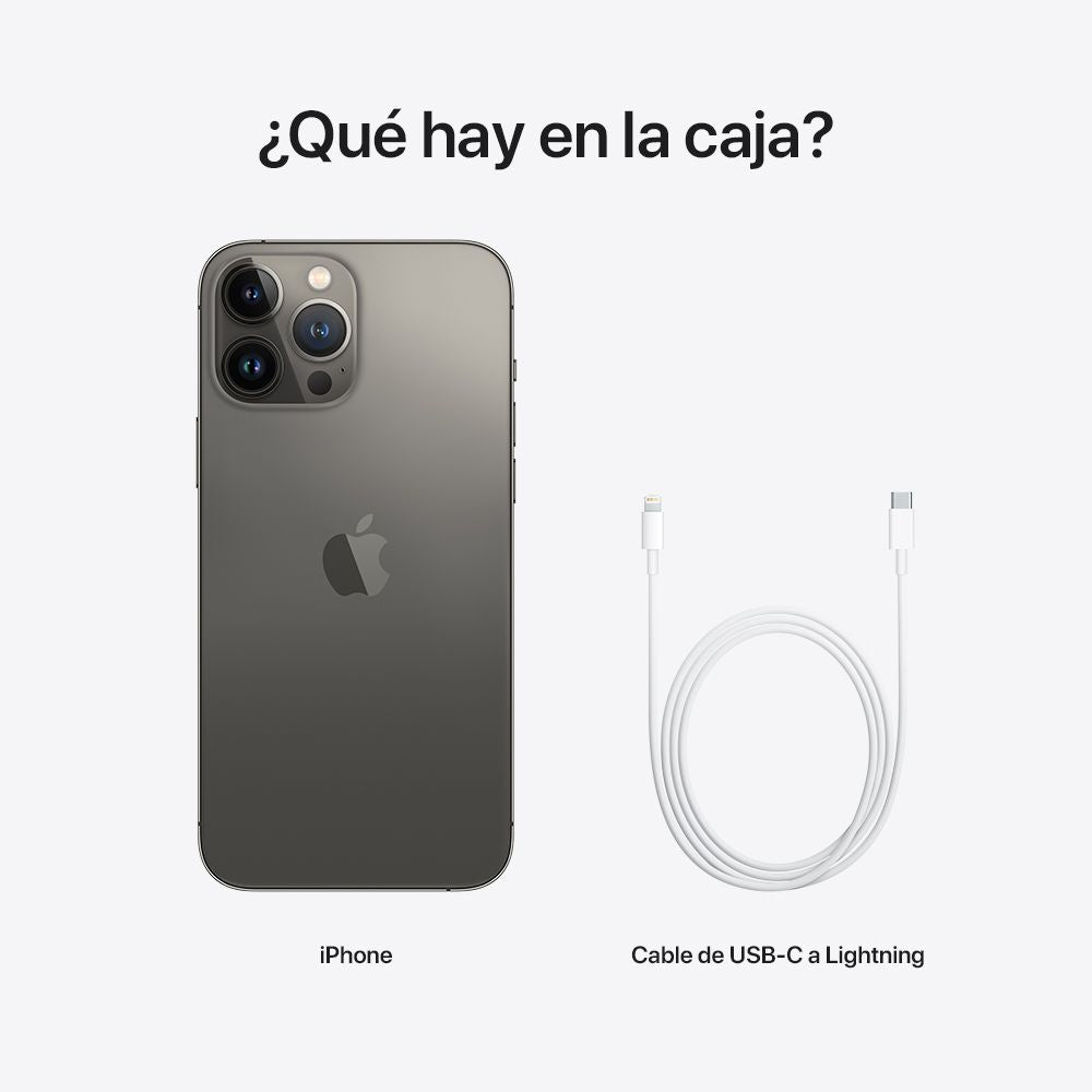 iPhone 13 Pro Max
