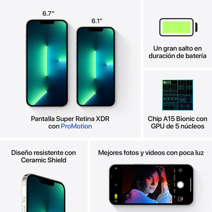 iPhone 13 Pro Max